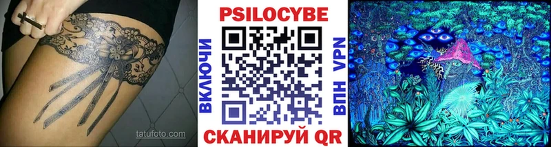 ОМГ ОМГ ТОР  Новый Уренгой  Псилоцибиновые грибы MAGIC MUSHROOMS 